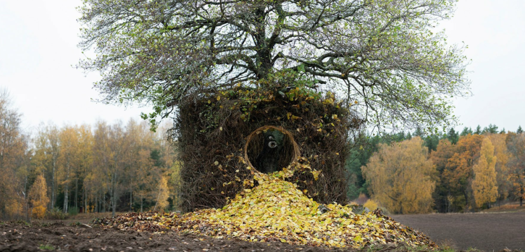 1668737030737995.png 1.png