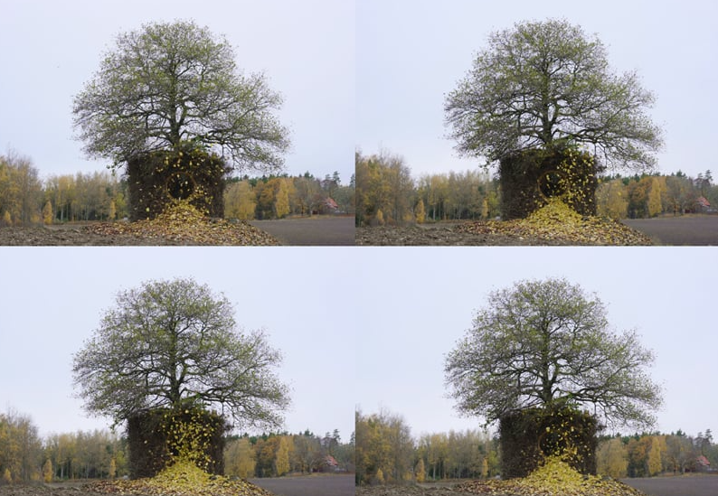 1668737126414266.png 4.png