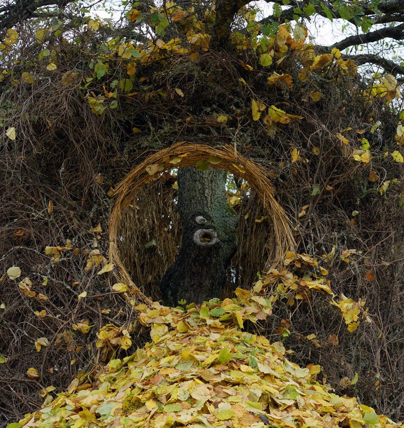 1668737230772033.png 8.png