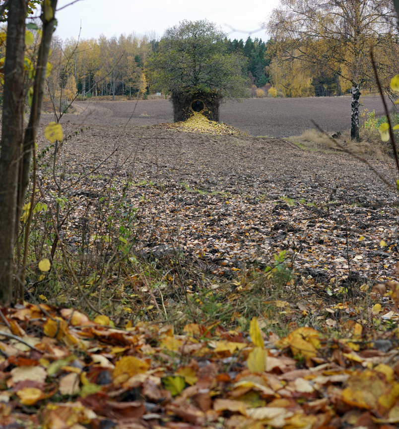 1668737589286247.png 11.png