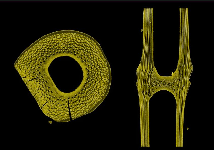 1678348855816485.jpg 11.jpg